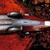 Trulock & Son 12-bore shotgun No. 5837 of circa 1853 and likely one of the last of their productions to have been made under this name. This example is blessed with the finest quality stub damascus twist forged barrels and Joseph Brazier made locks.  When loaded with a charge of old fashioned black powder and lead shot equivalent to that found in a modern 12-bore shot cartridge the gun performed first rate and 6 pheasants and a partridge, all strong flying and very wild birds, were brought down at sporting ranges and all stone dead and with very few misses.